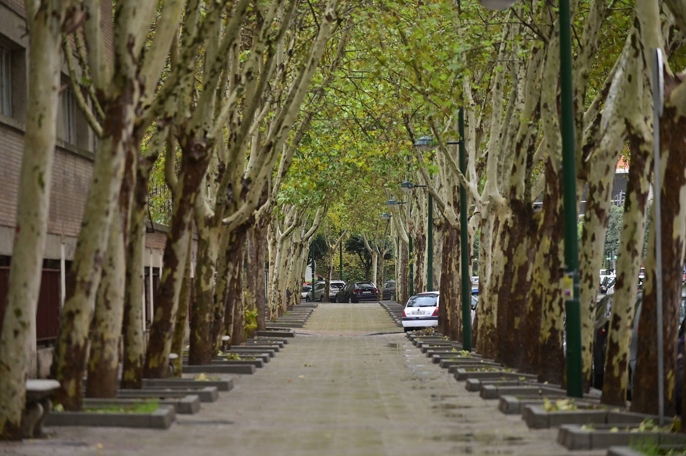 Recorre, en imágenes, el paseo del Prado de la Magdalena