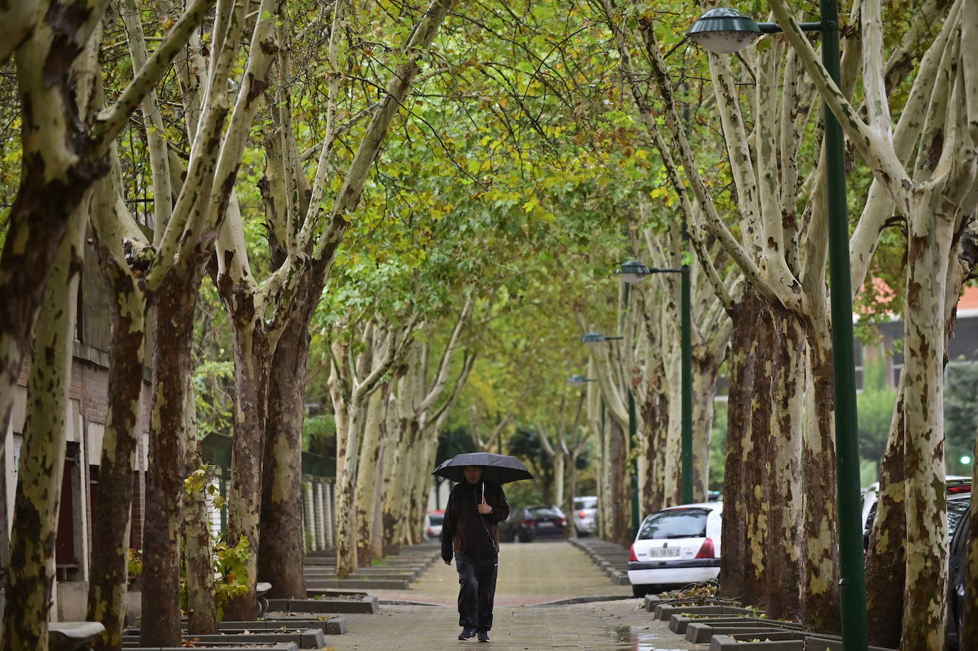 Recorre, en imágenes, el paseo del Prado de la Magdalena