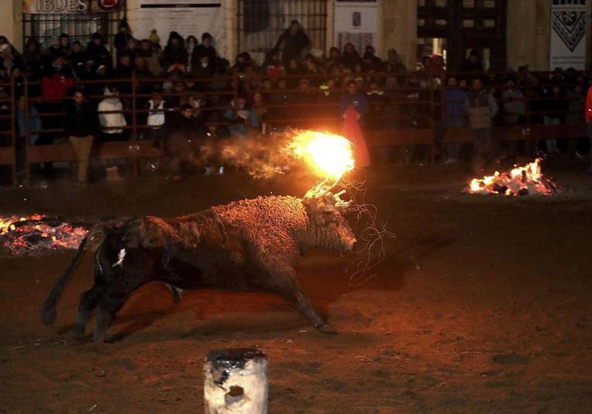 Toro Jubilo de Medinaceli, en años anteriores.