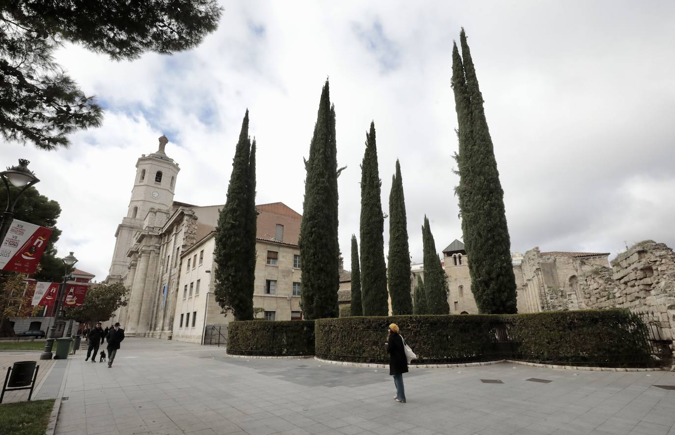 En imágenes, la rehabilitación del patio de los cipreses en la Catedral de Valladolid