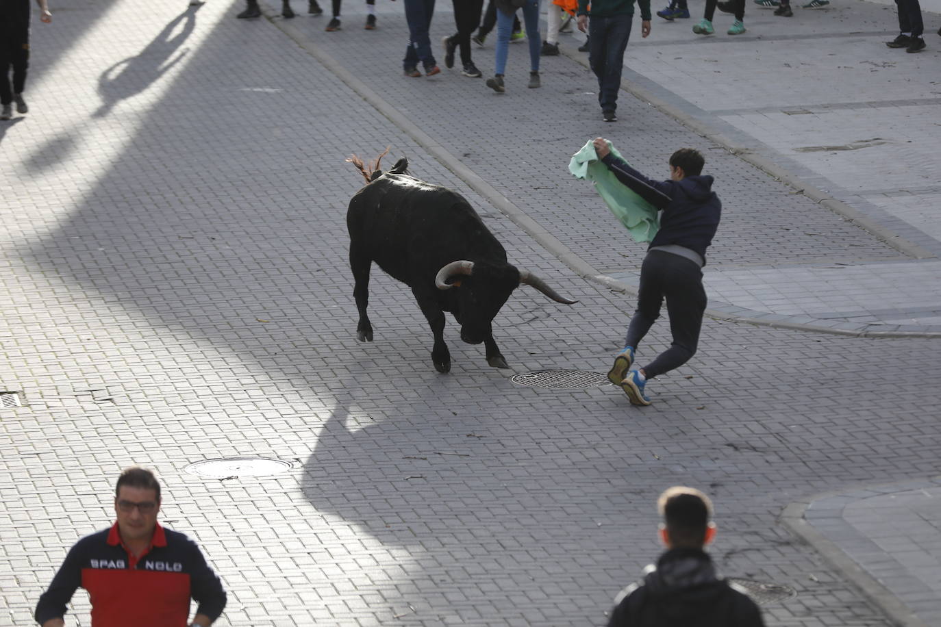 El encierro vespertino de Traspinedo, en imágenes