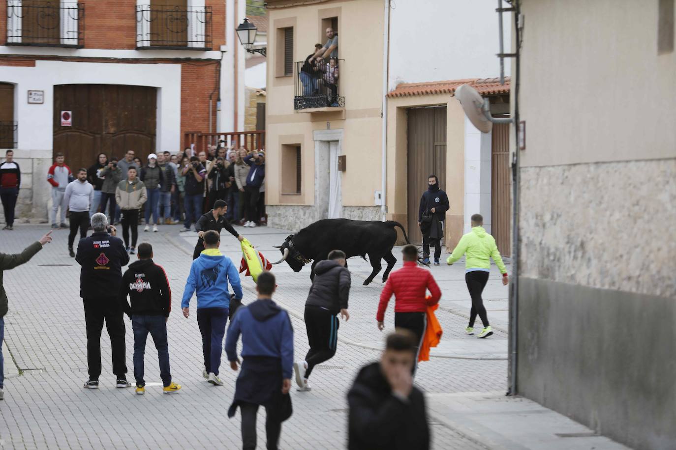 El encierro de Traspinedo, en imágenes