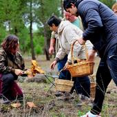 Íscar y Pedrajas organizan jornadas para conocer los secretos de la micología