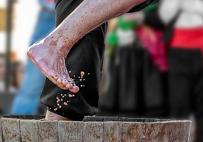 Fotografía ganadora del concurso