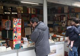 Una persona busca entre los libros de viejo en uno de los puestos de la feria segoviana.