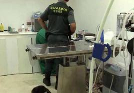 Agentes del Seprona investigaron en la clínica tras la denuncia.