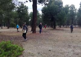 Un grupo de personas busca setas en un prado de Segovia.