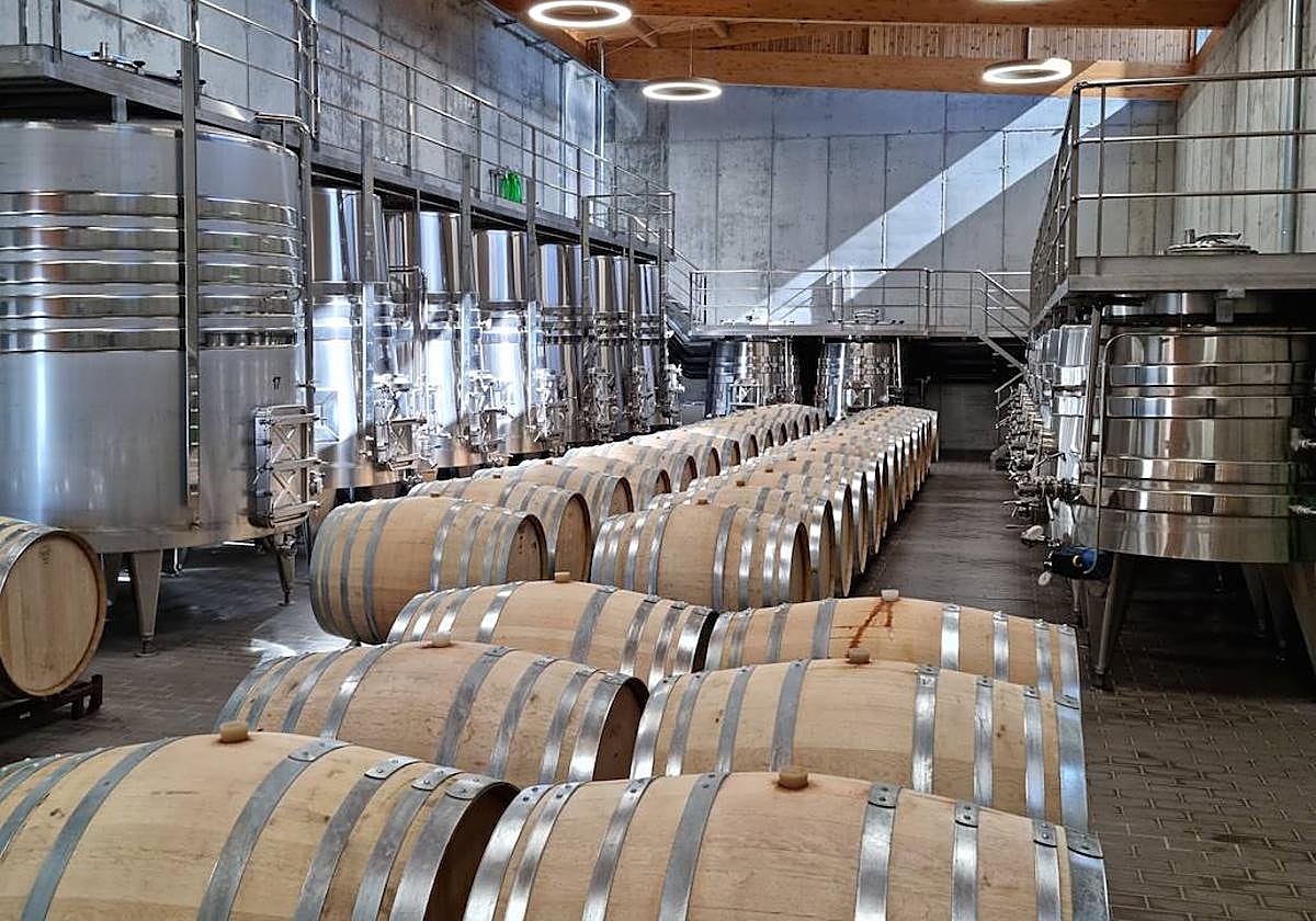Sala de barricas de una bodega.