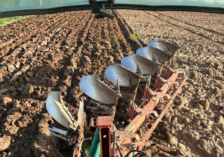 Los agricultores han conseguido avanzar con su actividad la pasada semana.