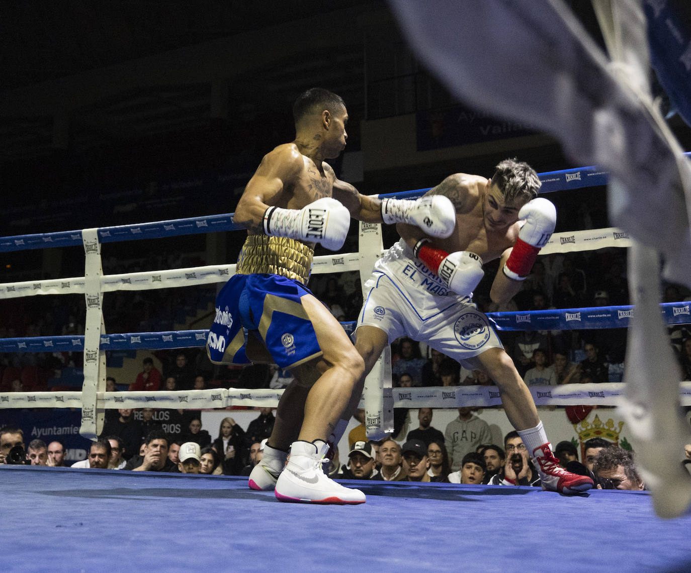 Imágenes del combate que ha dejado a Salvi sin el cinturón europeo