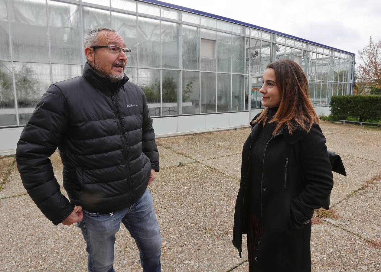 Palencia estrena el primer invernadero de seguridad biológica de Castilla y León