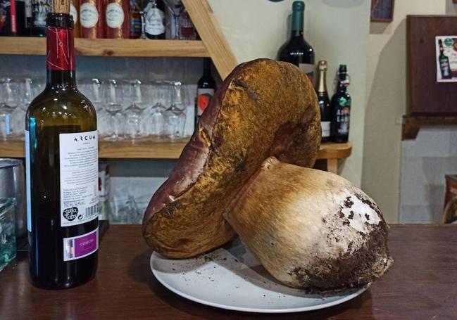 Boletus gigante, en el bar Astrolabio de Valladolid.