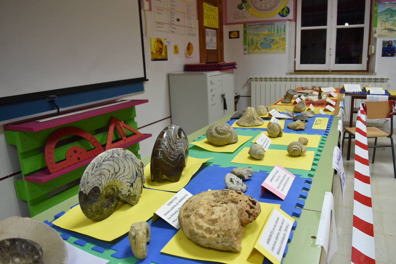 Exposición de fósiles en Aguilar de Campoo