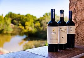 Botellas de Más de Leda, Leda Viñas Viejas y Guarda de Leda.