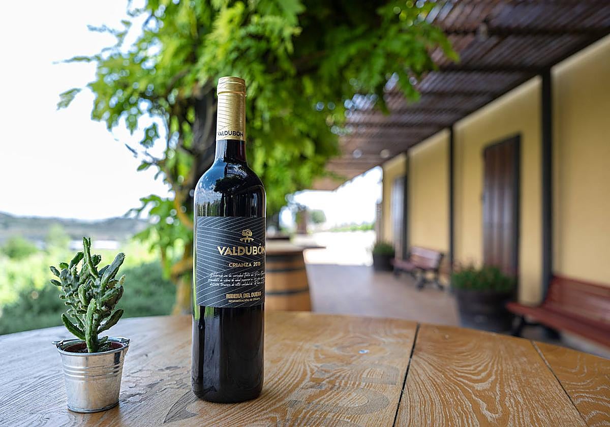 Botella de Valdubón Crianza.
