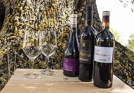 Los tres vinos TresMatas.