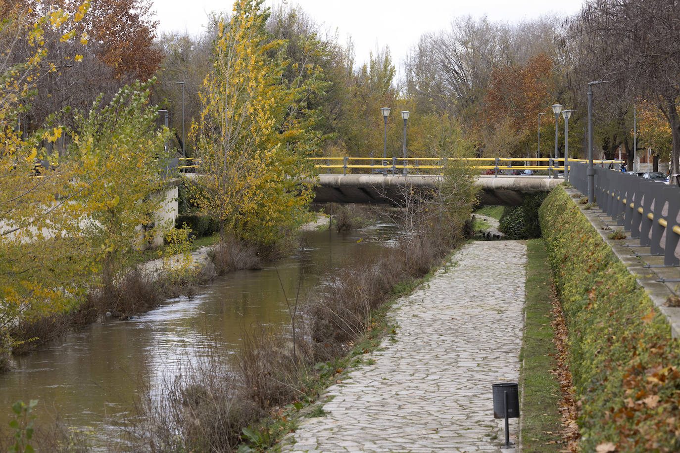 Crecida del río Esgueva por el paseo del Cauce