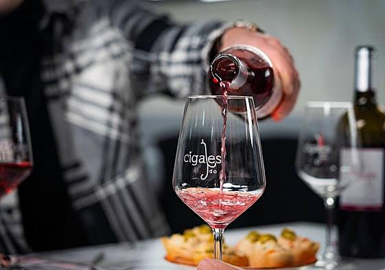 Una copa de vino de la DO Cigales.