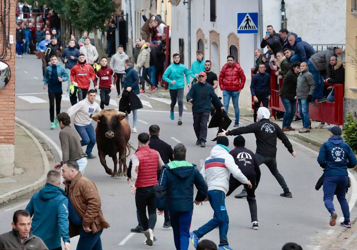 Las imágenes del encierro en Pollos