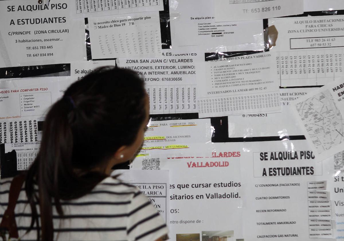 Una joven observa varios anuncios de alquiler de viviendas en la universidad de Valladolid.