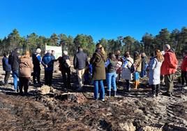 Algunos de los participantes en la reforestación de San Benito de Gallegos, este jueves.