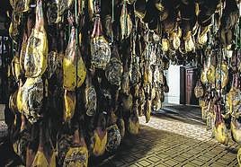 Bodega donde se han curado los jamones del estudio Blázquez-USAL.