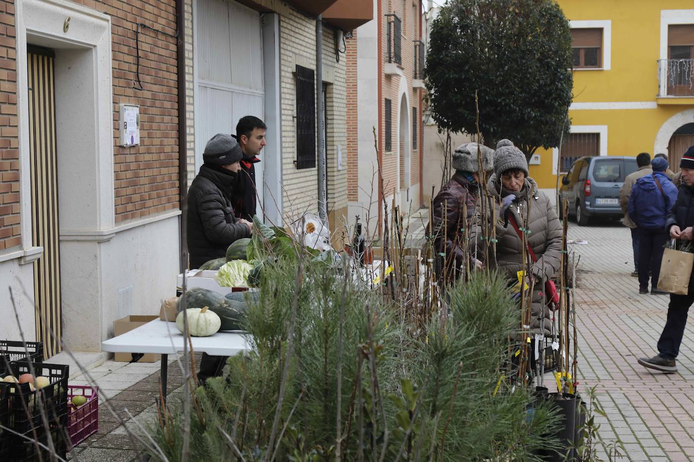 La Feria de Invierno de Piñel de Abajo, en imágenes