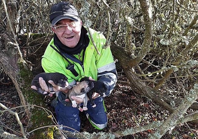 Un operario del Ayuntamiento muestras a los cachorros encontrados bajo un arbusto.