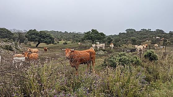 Incremento de casi el 8% del presupuesto destinado a seguros agrarios