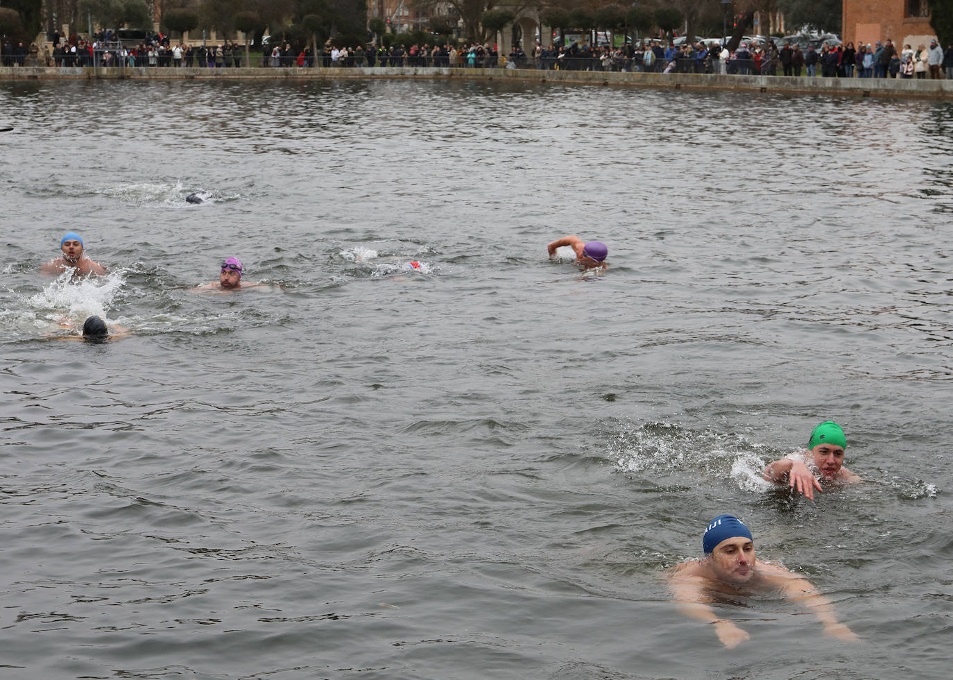 Un chapuzón solidario que desafía al frío