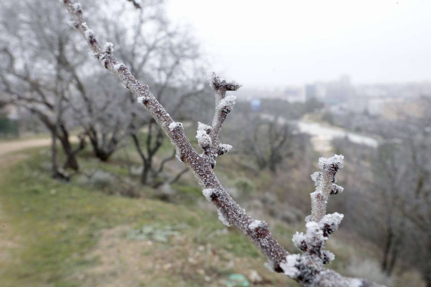 La ciudad amanece de nuevo cubierta de hielo