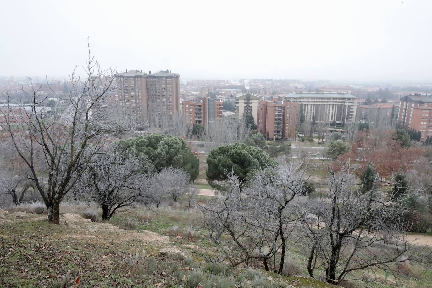 La ciudad amanece de nuevo cubierta de hielo