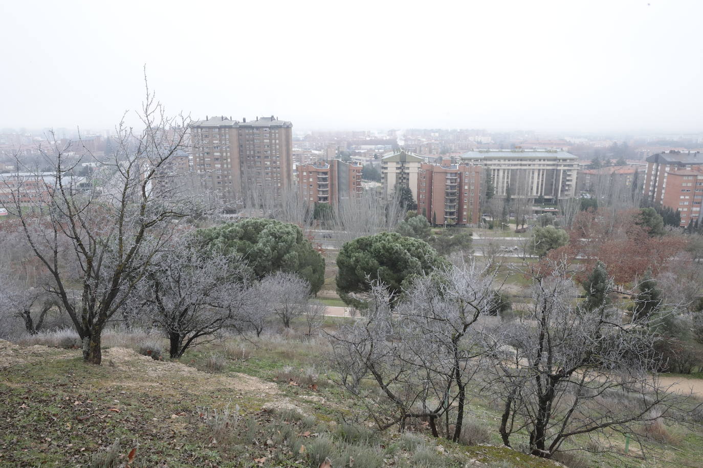 La ciudad amanece de nuevo cubierta de hielo