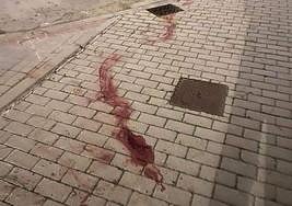 Restos de sangre tras el ataque mortal a los perros de Boecillo el 19 de diciembre.