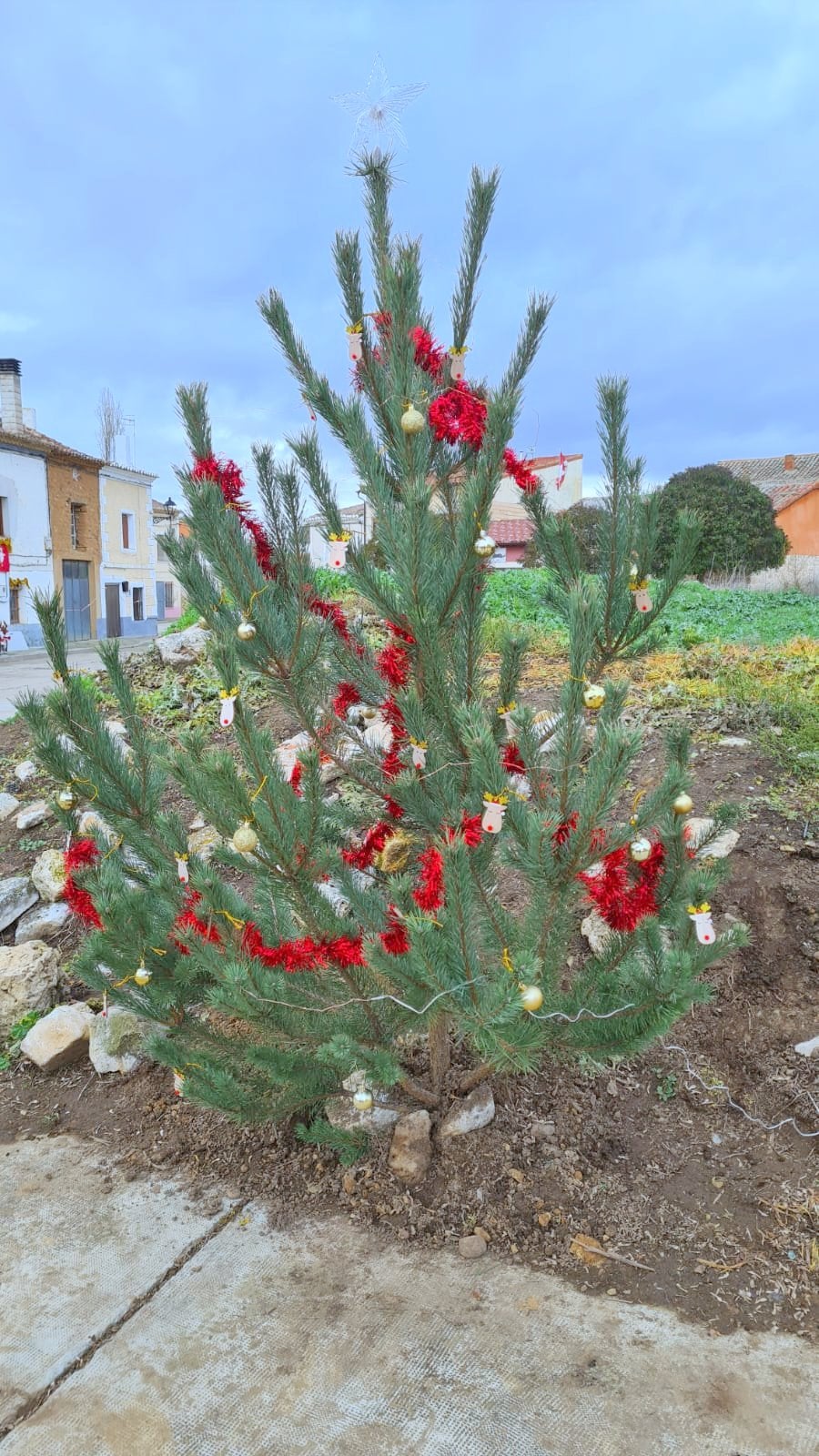 Cordovilla la Real ha brillado durante la Navidad con una esmerada decoración de árboles navideños