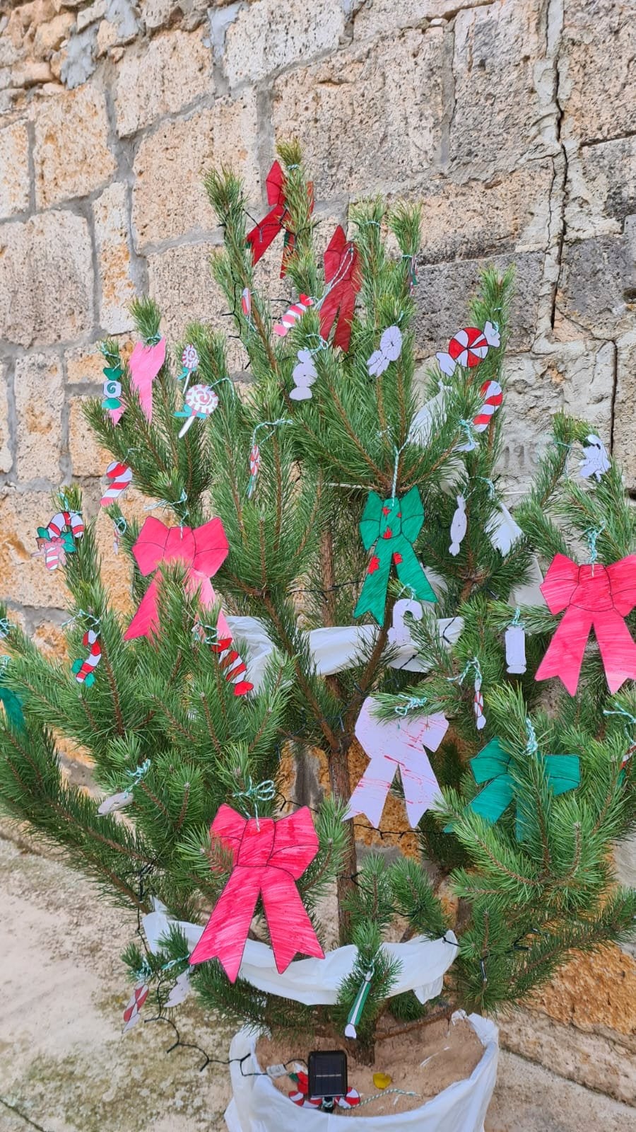 Cordovilla la Real ha brillado durante la Navidad con una esmerada decoración de árboles navideños