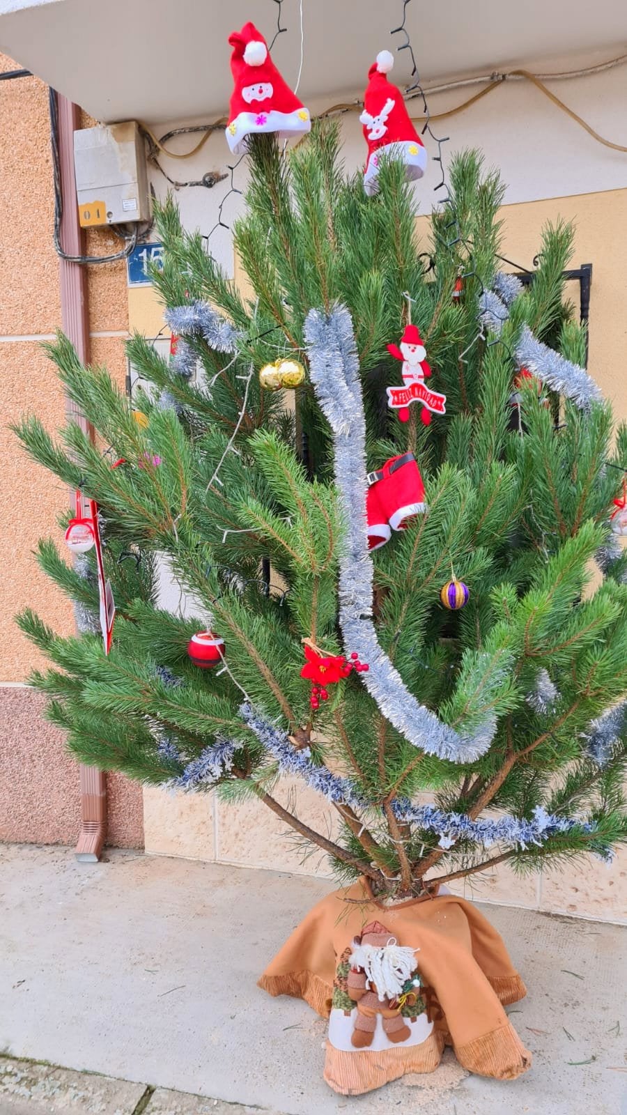 Cordovilla la Real ha brillado durante la Navidad con una esmerada decoración de árboles navideños