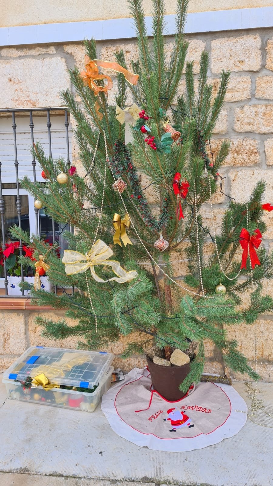 Cordovilla la Real ha brillado durante la Navidad con una esmerada decoración de árboles navideños