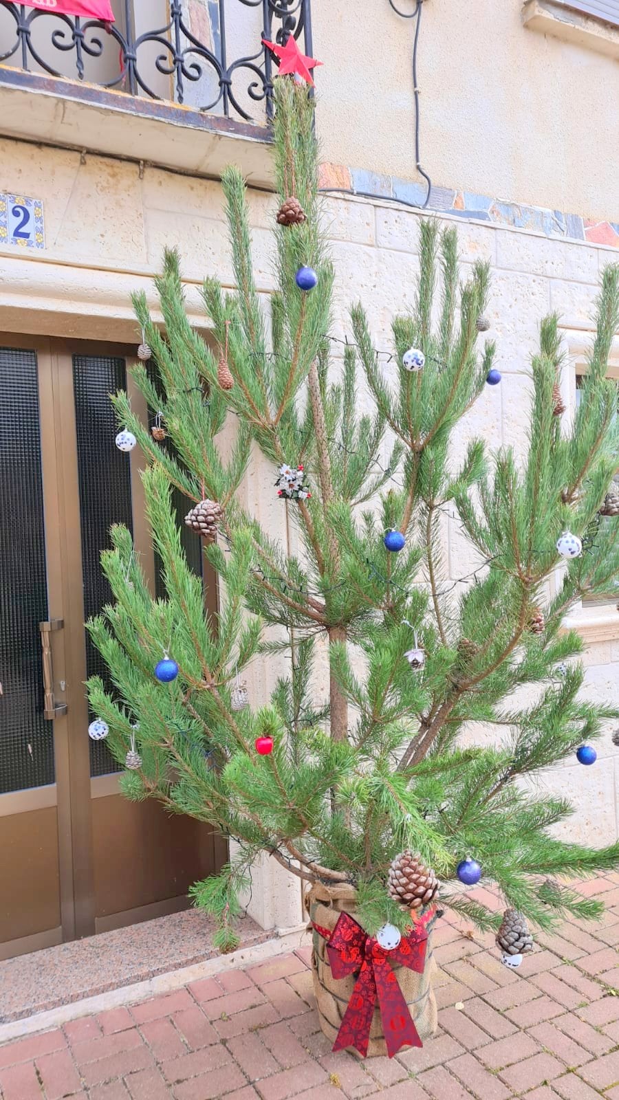 Cordovilla la Real ha brillado durante la Navidad con una esmerada decoración de árboles navideños