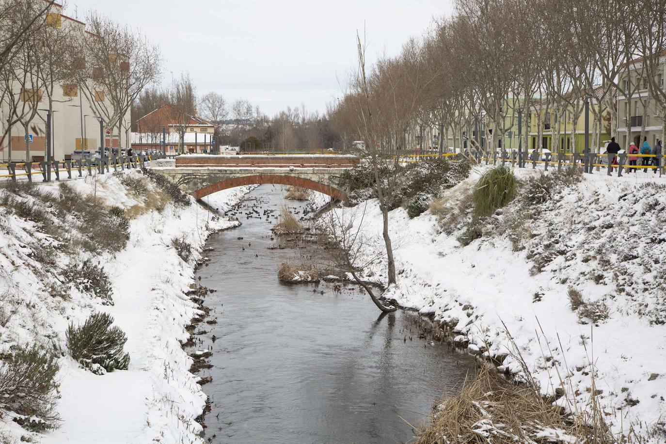 La zona de la Esgueva también amaneció blanca. Las bajas temperaturas provocaron que algunas zonas del río se congelaran.