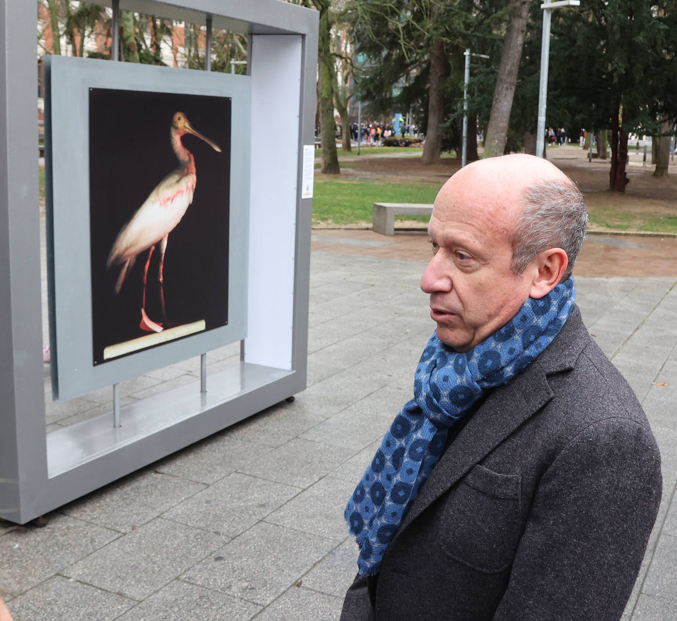 Fotos: 50 fotografías con historia acampan en el Salón en Palencia