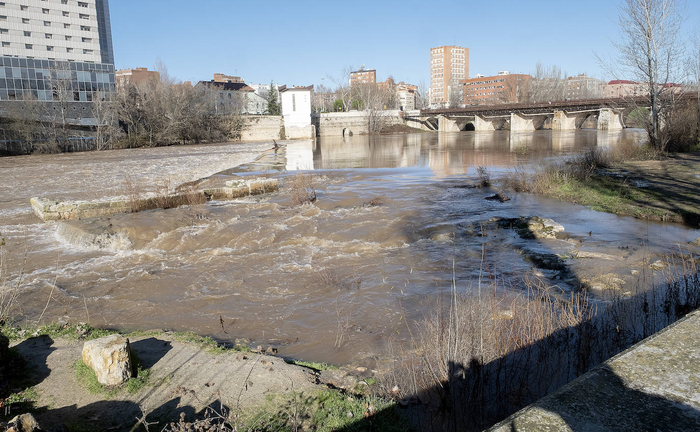 Miembros del club de piragüismo observan uno de los pantalanes del río. 