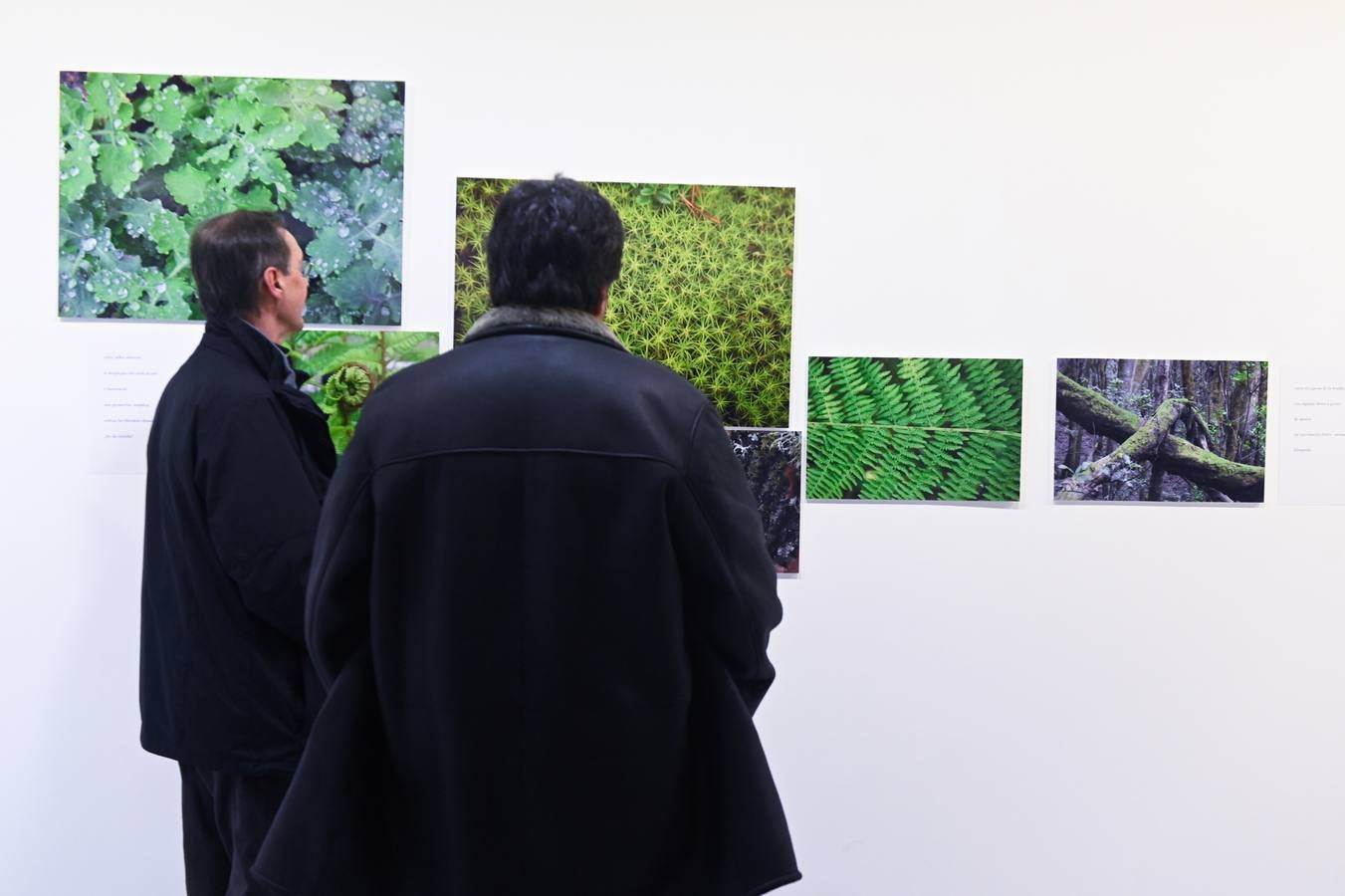 Fotos: La naturaleza se asoma a las fotografías de Luis Marigómez