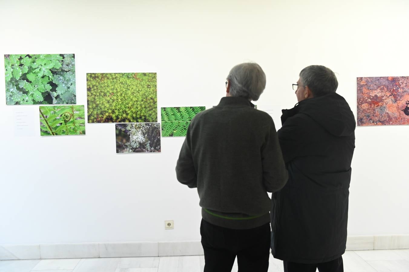 Fotos: La naturaleza se asoma a las fotografías de Luis Marigómez