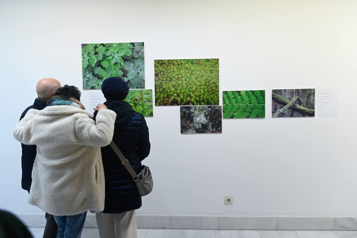 Fotos: La naturaleza se asoma a las fotografías de Luis Marigómez