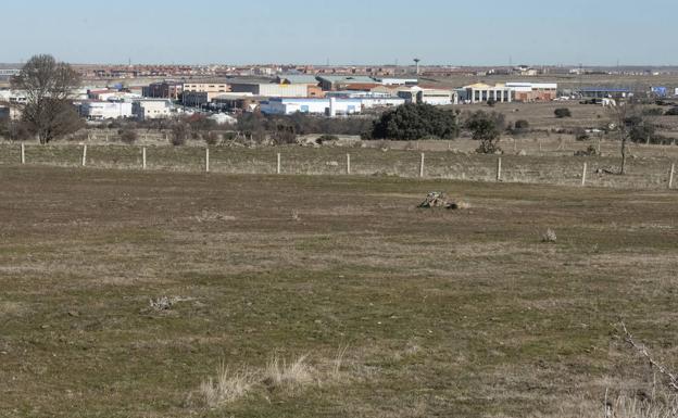 El Ayuntamiento aprobará su participación en una sociedad para el desarrollo del puerto seco