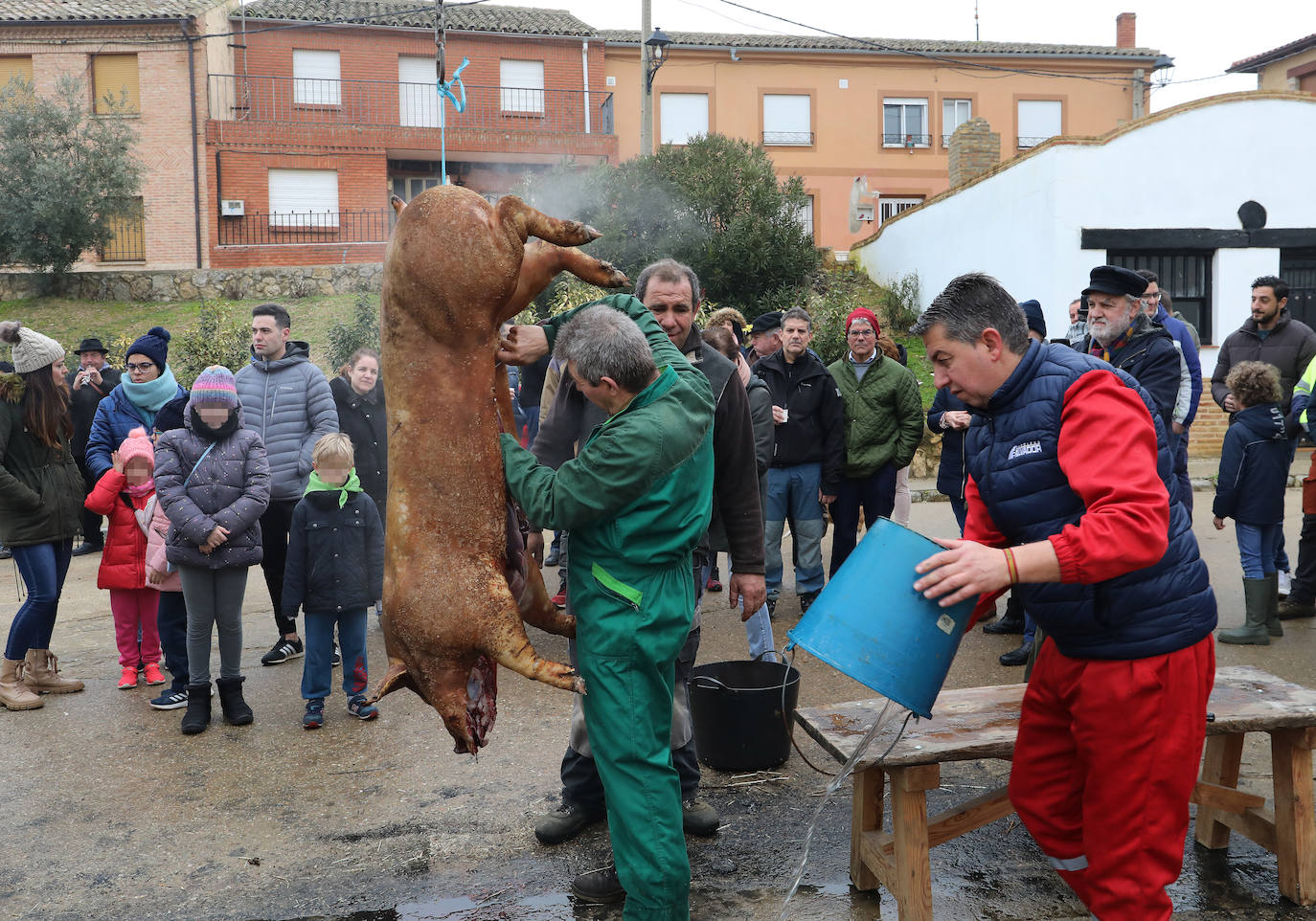 Fotos: Fuentes de Nava vive la fiesta de San Antón
