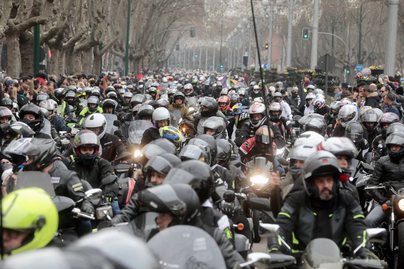 Fotos: Desfile de banderas en Pingüinos 2023 (2/4)