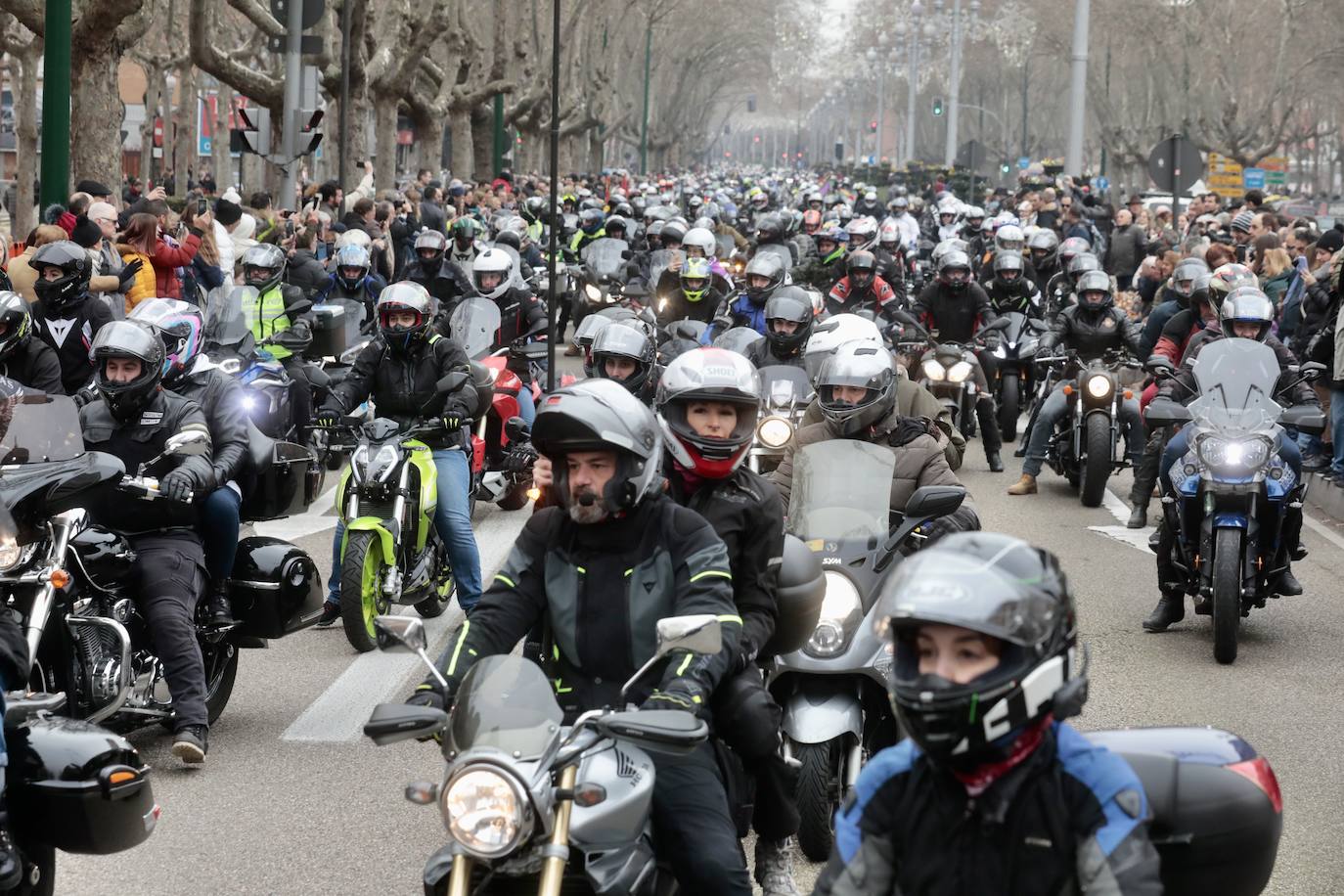 Fotos: Desfile de banderas en Pingüinos 2023 (2/4)