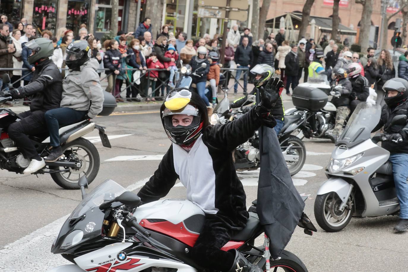 Fotos: Desfile De Banderas En Pingüinos 2023 (2/4) | El Norte De Castilla